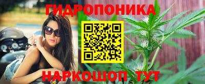 наркотики Берёзовский
