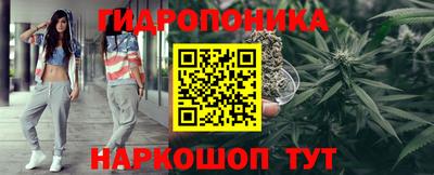 прущие крисы Бийск