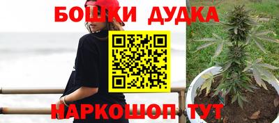 прущие крисы Бийск