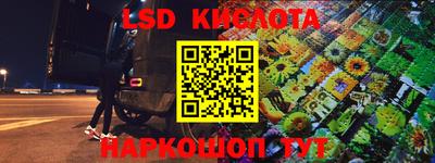 прущие крисы Бийск