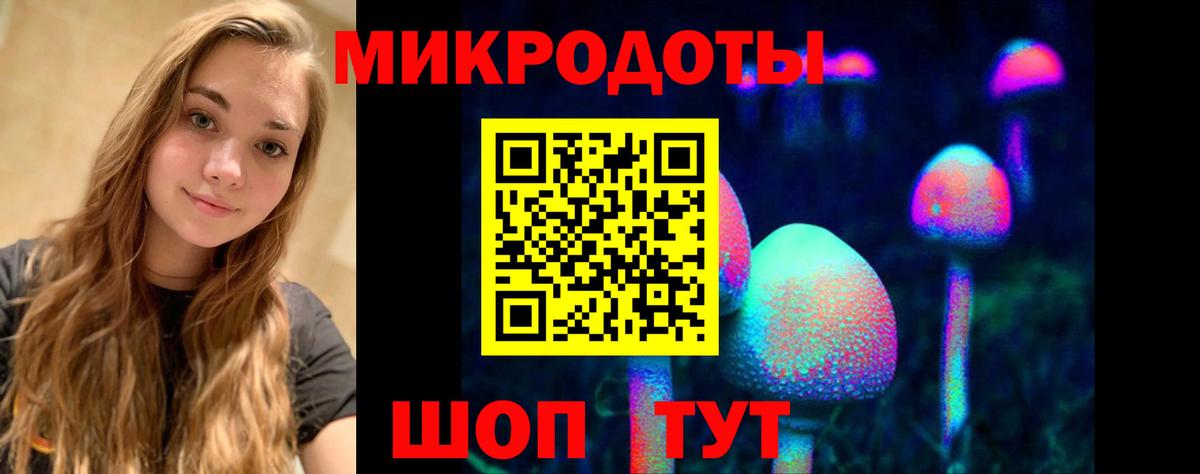 Галлюциногенные грибы Magic Shrooms Бердск